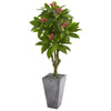 Nearly Natural 9053 5.5' Artificial Green Plumeria Tree in Gray Planter, UV Resistant (Indoor/Outdoor)