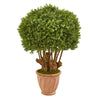Nearly Natural 9734 39" Artificial Green Boxwood Topiary Tree in Terracotta Planter, (Indoor/Outdoor)