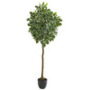 Nearly Natural 5549 6" Artificial Green Variegated Aralia Tree