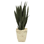 Nearly Natural 34`` Sansevieria Artificial Plant in Country White Planter