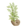 Nearly Natural T2561 3` Ruffle Fern Artificial Tree in Shell Shaped Planter