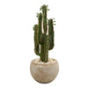 Nearly Natural 6546 2.5' Artificial Green Cactus Plant in Bowl Planter