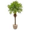 Nearly Natural 9556 68" Artificial Green Robellini Palm Tree in Sandstone Planter