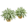 Nearly Natural 8419-S2 17" Artificial Green Silver Queen Plant in Decorative Planter, Set of 2