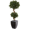 Nearly Natural 5829 4.5' Artificial Green Sweet Bay Double Topiary Tree in Black Wash Planter