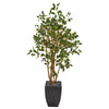 Nearly Natural T1106 58" Artificial Green Ficus Tree in Black Planter