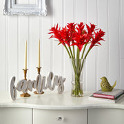 Nearly Natural A1487 23” Star Bromeliad Artificial Arrangement in Glass Vases