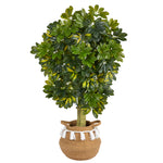 Nearly Natural T2933 4’ Schefflera Artificial Tree in Natural Planter with Tassels