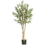 Nearly Natural 5` Olive Silk Tree