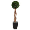 Nearly Natural T2231 64” English Ivy Single Ball ArtificialTree in Black Planter