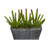 Nearly Natural P1157 10" Artificial Green Cactus Succulent Plant in Embossed Tin Planter