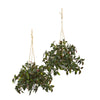 Nearly Natural 8885-S2 27" Artificial Green Mini Melon Plant in Hanging Bucket, Set of 2, UV Resistant (Indoor/Outdoor)