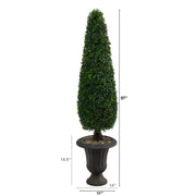 Nearly Natural T2195 57`` Boxwood Topiary Artificial Tree in Charcoal Urn