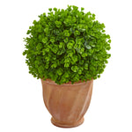 Nearly Natural 9087 17" Artificial Green Eucalyptus Ball in Terra Cotta Planter