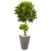 Nearly Natural 5769 6' Artificial Green Schefflera Tree in Cement Planter, UV Resistant (Indoor/Outdoor)