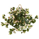 Nearly Natural 8373 24" Artificial Green Hoya Plant in Decorative Hanging Frame