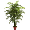 Nearly Natural 5390 6.5' Artificial Green Areca Palm Tree, UV Resistant (Indoor/Outdoor)