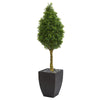 Nearly Natural 5759 5' Artificial Green Boxwood Cone Tree in Black Wash Planter, UV Resistant (Indoor/Outdoor)