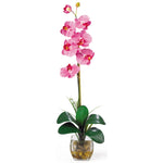 Nearly Natural Single Phalaenopsis Liquid Illusion Silk Flower Arrangement