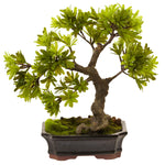 Nearly Natural 4848 14" Artificial Green Podocarpus with Mossed Bonsai Planter