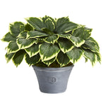 Nearly Natural 23``Variegated Hosta Artificial Plant in Gray Planter