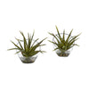 Nearly Natural 8548-S2 9" Artificial Green Aloe Plant in Slanted Vase, Set of 2