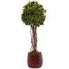 Nearly Natural 5830 2.5' Artificial Green English Ivy Tree in Red Planter, UV Resistant (Indoor/Outdoor)