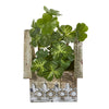 Nearly Natural 8847 11" Artificial Green Clover Plant in Hanging Floral Design House Planter