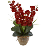 Nearly Natural Seasonal Double Phalaenopsis Orchid Arrangement
