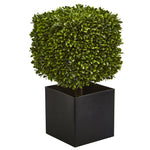 Nearly Natural 4349 27" Artificial Green Boxwood Plant in Black Planter (Indoor/Outdoor)