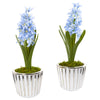 Nearly Natural A1105-S2 13" Artificial Green & Blue Hyacinth Arrangement in White Vase with Silver Trimming, Set of 2