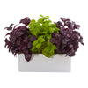 Nearly Natural P1251 17" Artificial Green & Purple Basil Plant in White Planter