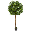 Nearly Natural 5572 5.5' Artificial Green Ficus Tree