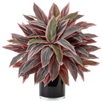 Nearly Natural 6940 20" Artificial Green Caladium in Black Glossy Planter
