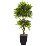 Nearly Natural 5723 5.5' Artificial Green Mango Tree in Black Wash Planter, UV Resistant (Indoor/Outdoor)