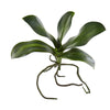 Nearly Natural 2344-S6 9" Artificial Green Phalaenopsis Orchid Leaf Flower, Set of 6