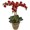 Nearly Natural Triple Stem Phalaenopsis Arrangement Seasonal