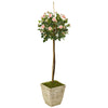 Nearly Natural 9974 53" Artificial Green & Pink Rose Topiary Tree in Country White Planter