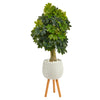 Nearly Natural T1373 50`` Schefflera Artificial Tree in White Planter with Stand