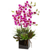 Nearly Natural Orchid and Succulent Arrangement in Black Vase