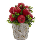 Nearly Natural 1664 Apples & Boxwood Artificial Arrangement Weather Planter