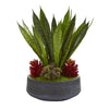 Nearly Natural P1137 20" Artificial Green Succulent & Sansevieria Plant in Decorative Bowl