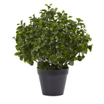 Nearly Natural 6859 23" Artificial Green Peperomia Plant in Black Planter, UV Resistant (Indoor/Outdoor)