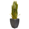 Nearly Natural 9186 3.5' Artificial Green Sansevieria Plant in Black Planter