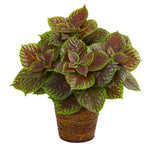 Nearly Natural 8865 16" Artificial Green & Maroon Real Touch Coleus Plant in Basket