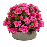 Nearly Natural 8176 14" Artificial Pink Azalea Plant in Stone Planter