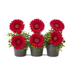 Nearly Natural 14`` Gerber Daisy Artificial Arrangement in Trio Metal Vase