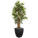 Nearly Natural 5840 5' Artificial Green Bamboo Tree in Black Wash Planter