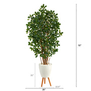 Nearly Natural T2216 6’ Black Olive Artificial Tree in White Planter with Stand