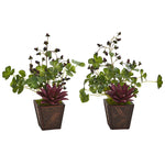 Nearly Natural 8996-S2 15" Artificial Green & Maroon Succulent Clover & Coffee Leaf Plant in Decorative Planter, Set of 2